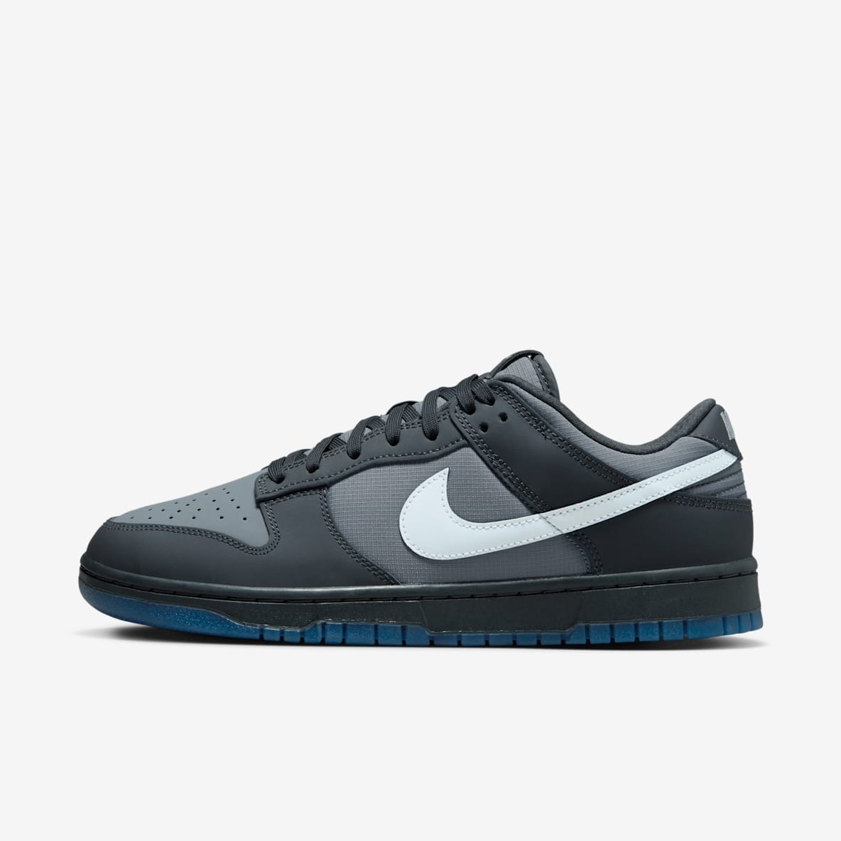 Nike Dunk Low Sko til mænd