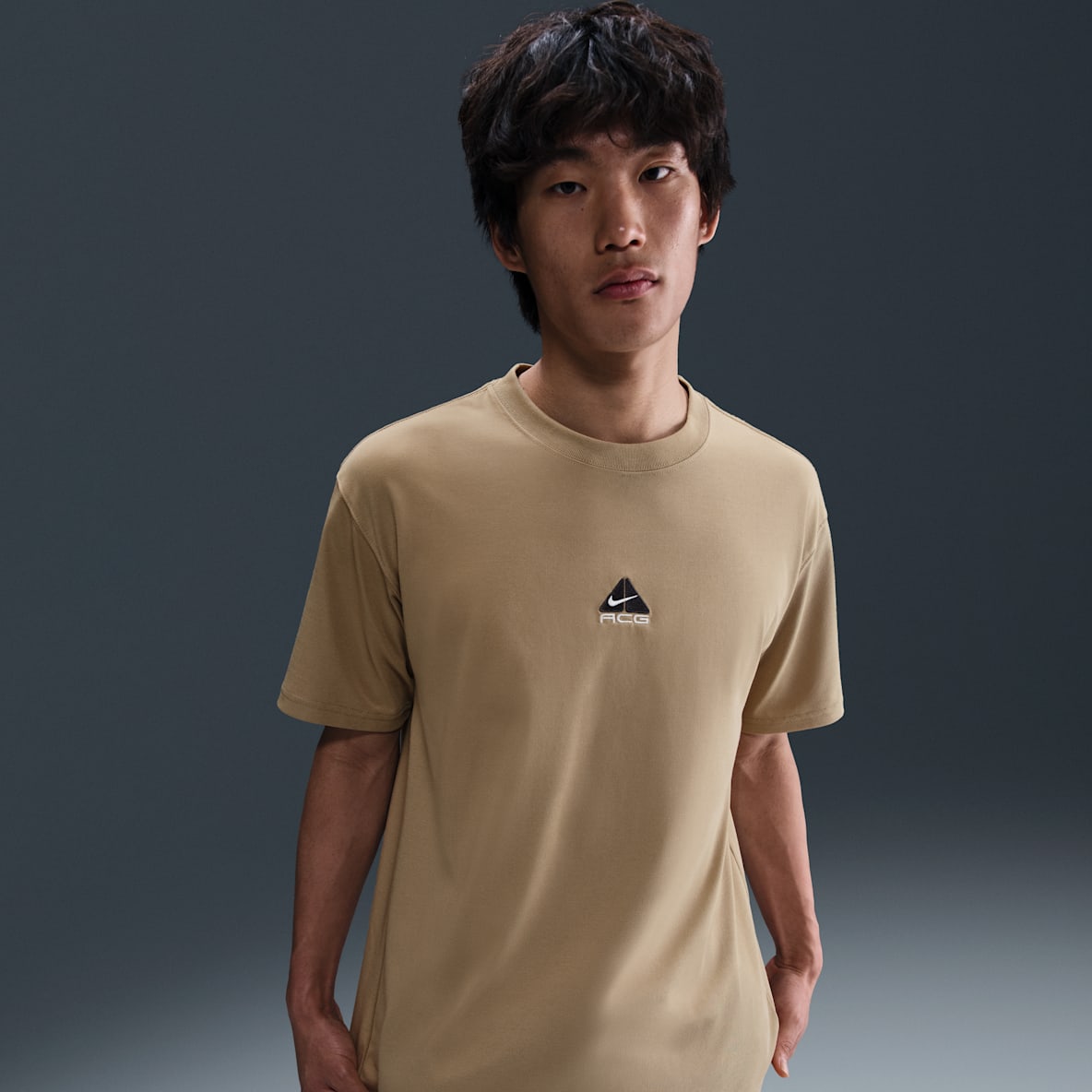 ナイキ ACG ナイキ ACG メンズ Tシャツ