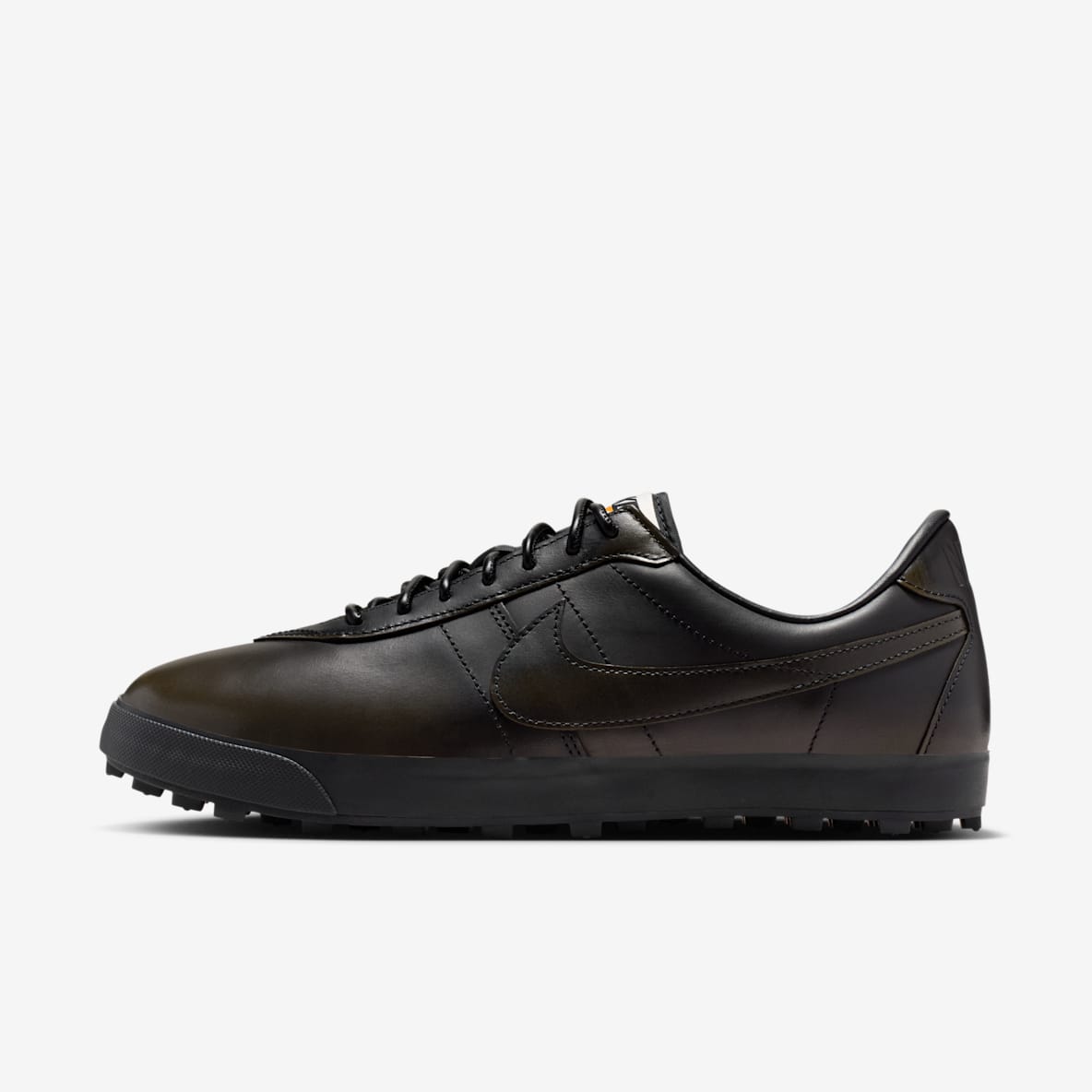 Nike Astrograbber Leather Men's shoes