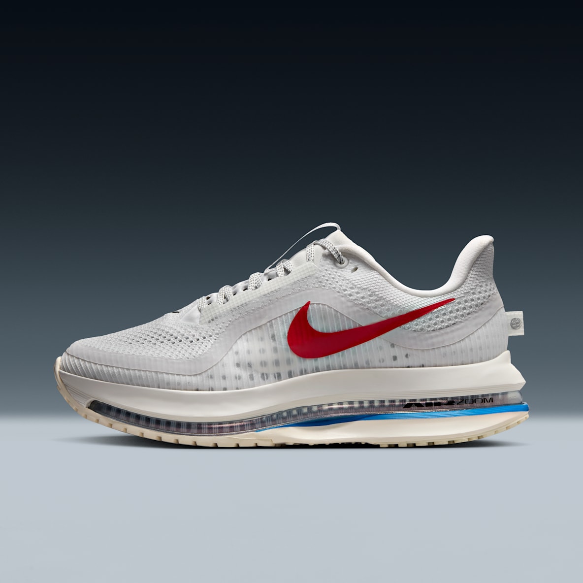 Nike Pegasus Premium Nike Pegasus Premium Women's Road Running Shoes