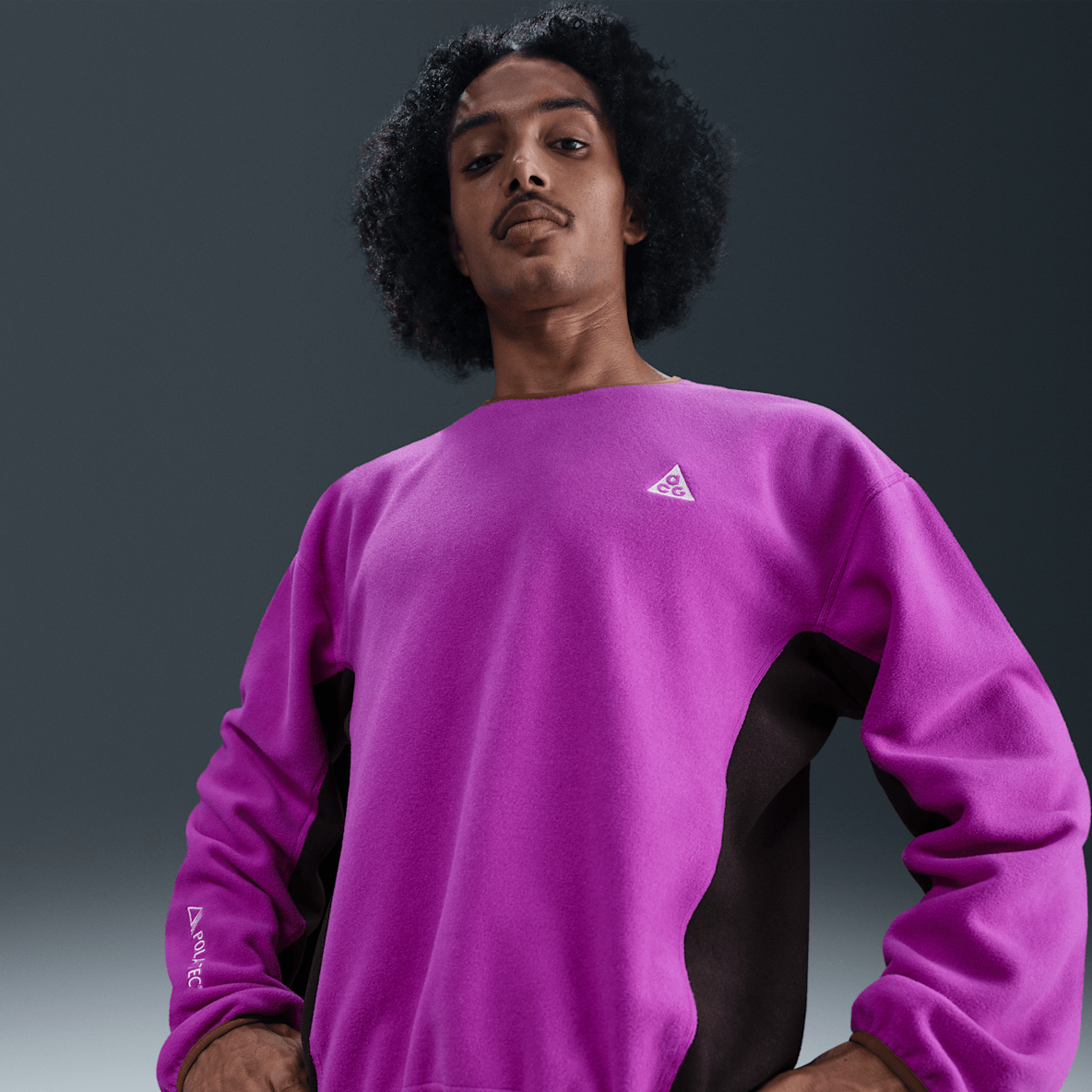 Nike ACG "Wolf Tree" Nike ACG "Wolf Tree" Crew