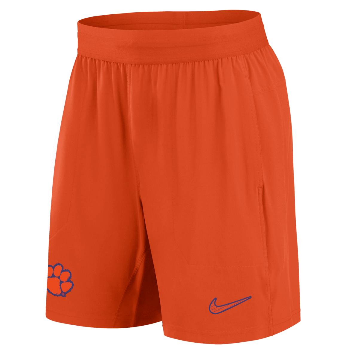 Clemson Tigers Sideline Clemson Tigers Sideline Men's Nike Dri-FIT College Shorts