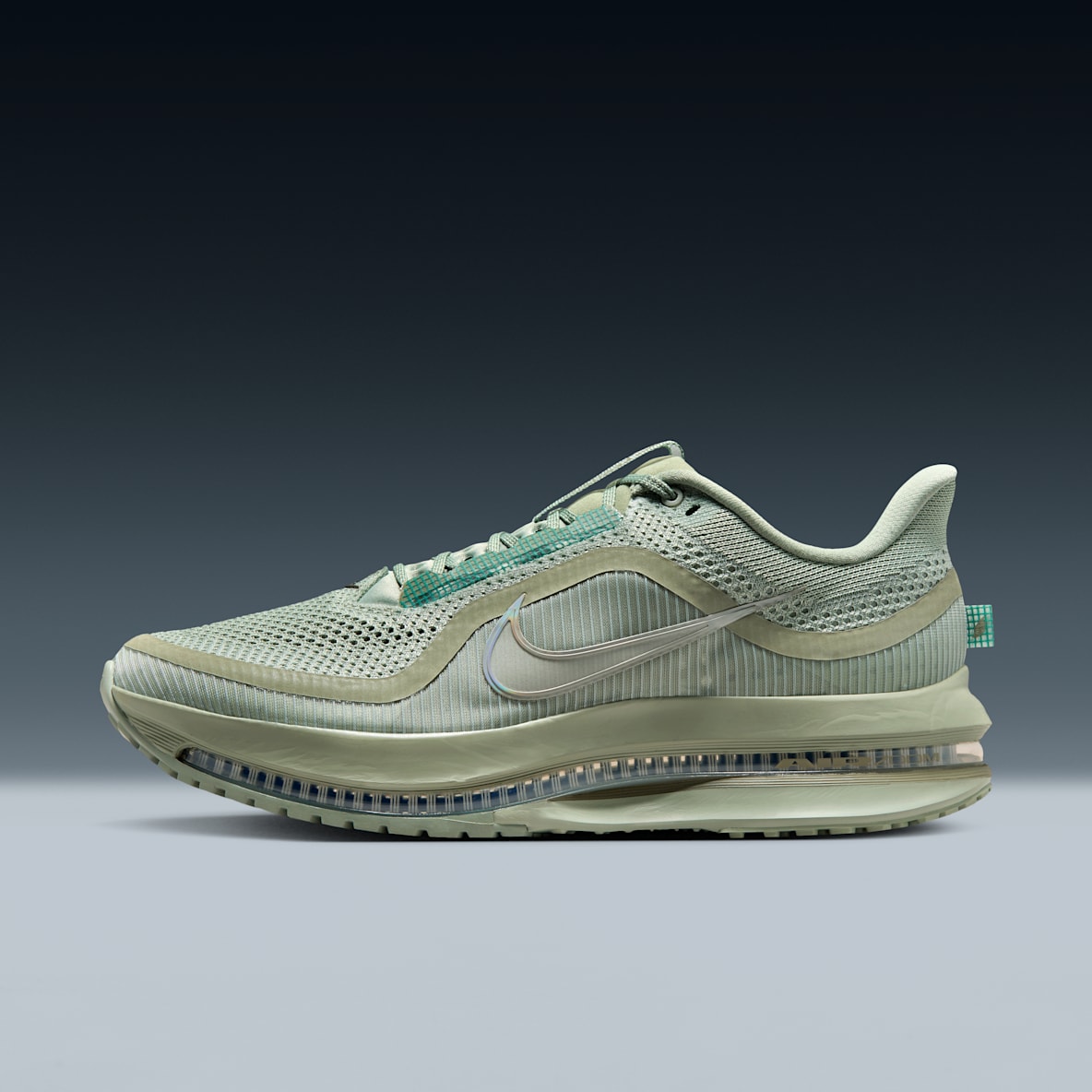 Nike Pegasus Premium Nike Pegasus Premium Men's Road Running Shoes
