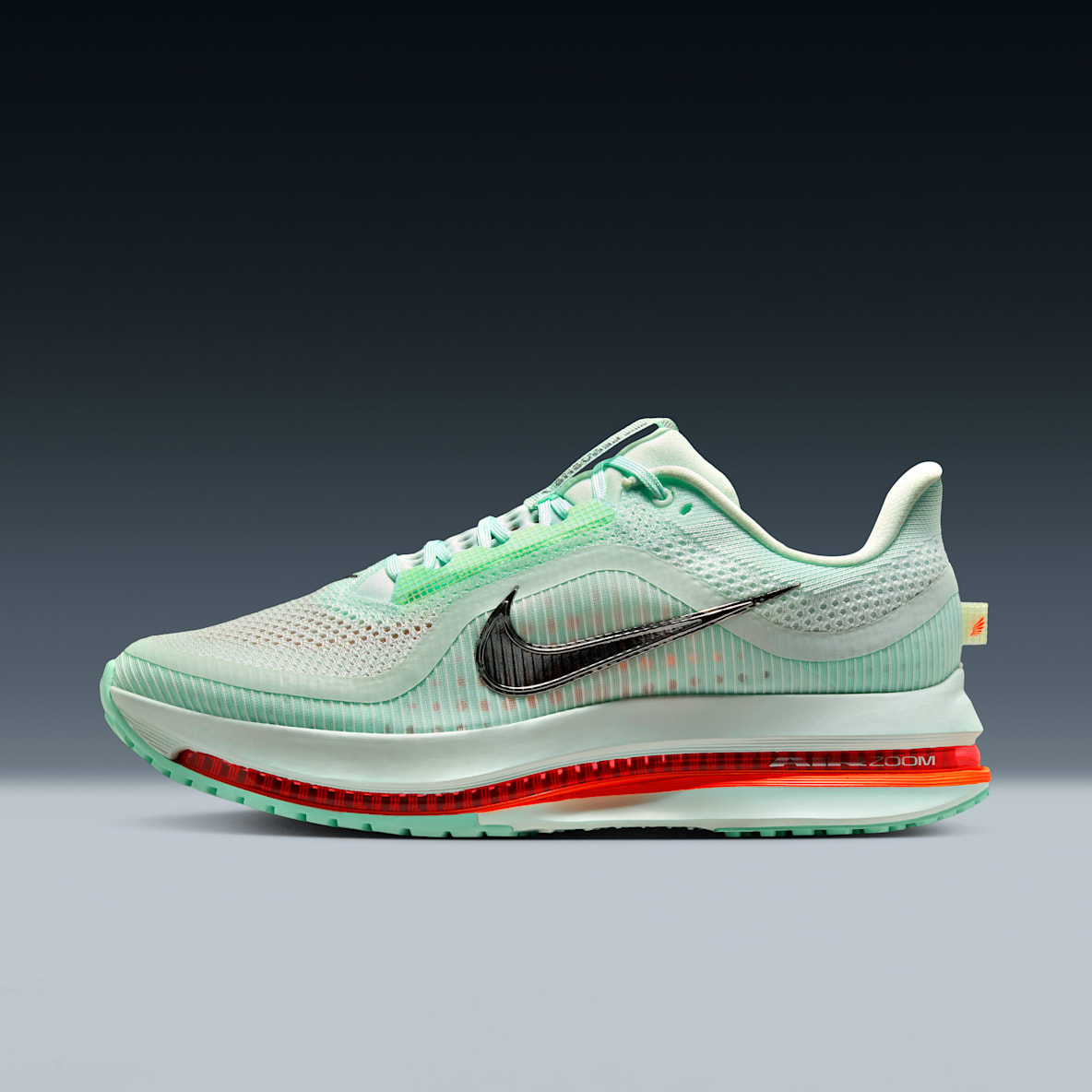 Nike Pegasus Premium Nike Pegasus Premium Men's Road Running Shoes
