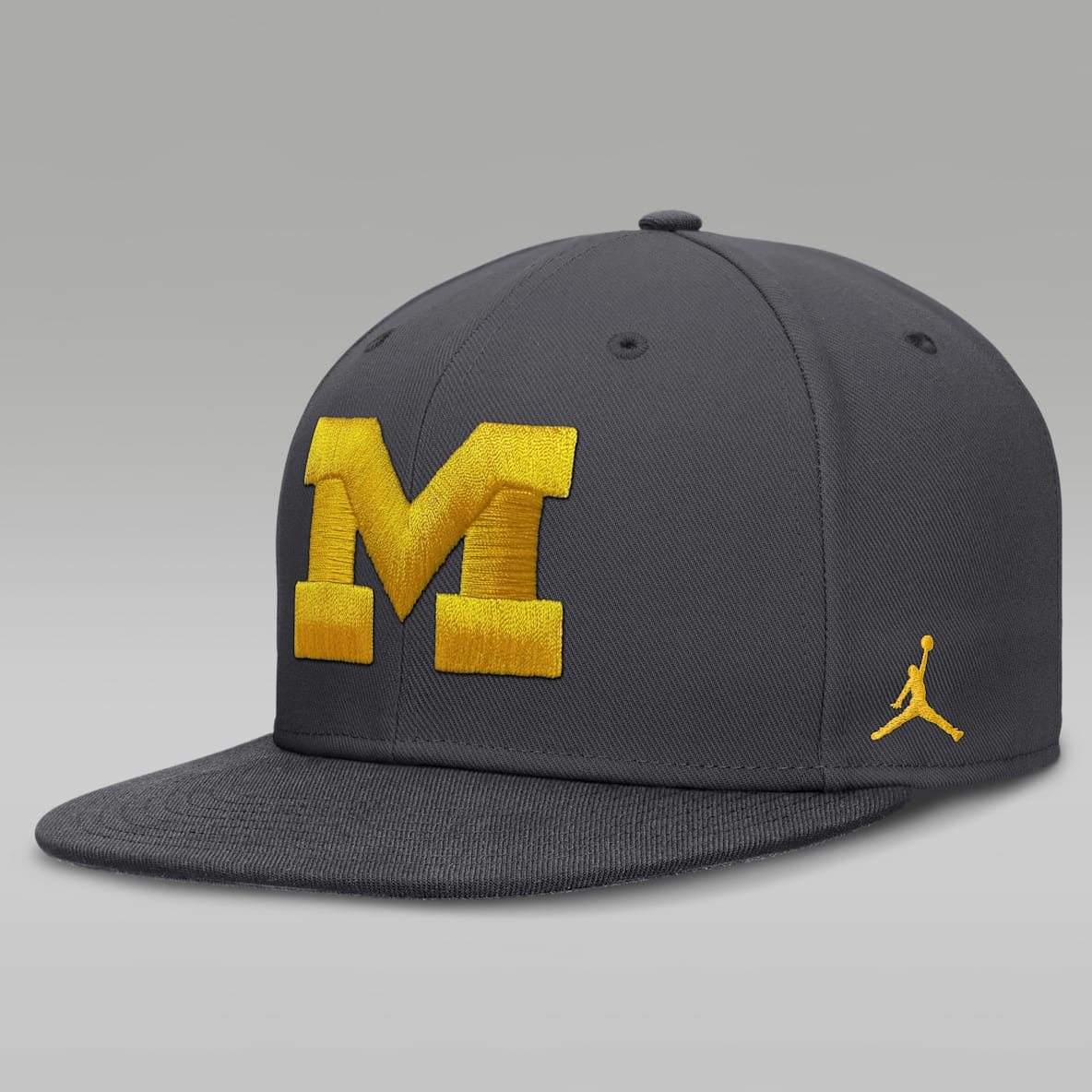 Michigan Pro Men's Jordan Brand Dri-FIT College Fitted Hat