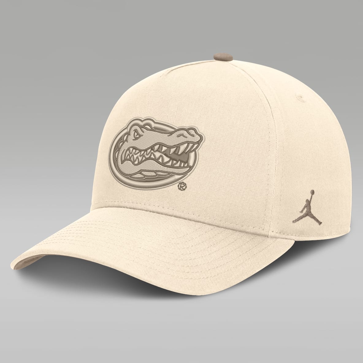 Florida Natural Rise Men's Jordan Brand Dri-FIT College A-Frame Adjustable Hat