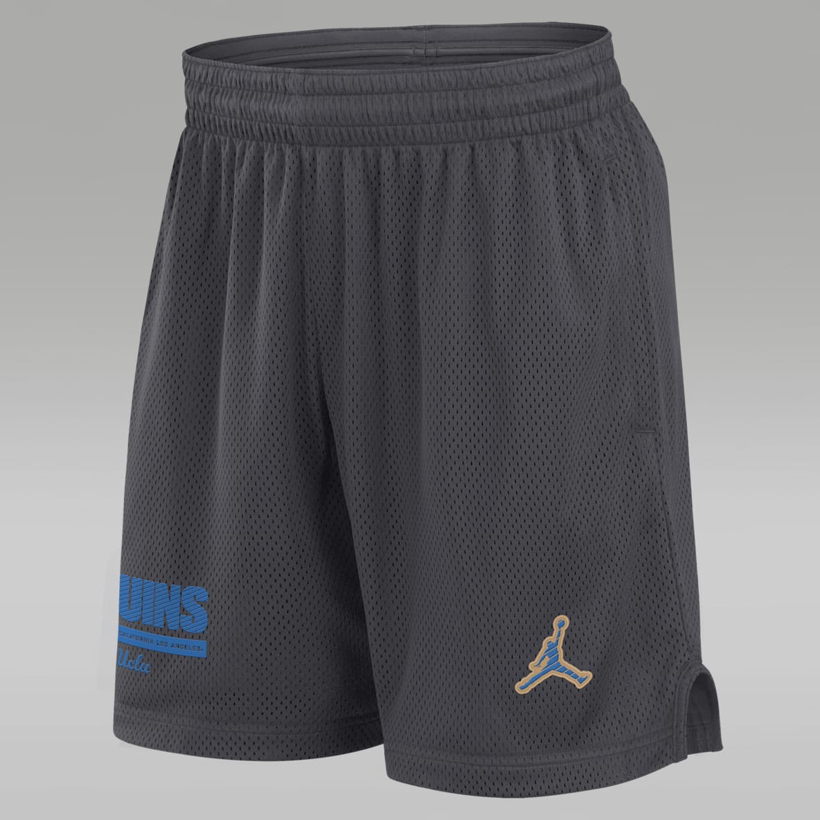 UCLA Sideline UCLA Sideline Men's Jordan Brand Dri-FIT College Shorts