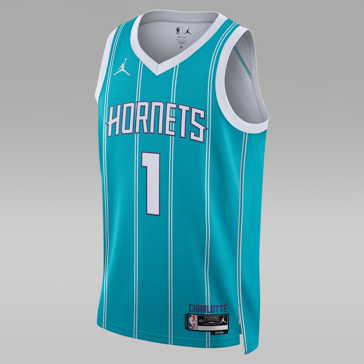 Charlotte Hornets ikonutgåva Charlotte Hornets ikonutgåva Jordan Dri-FIT NBA Swingman Jersey för män