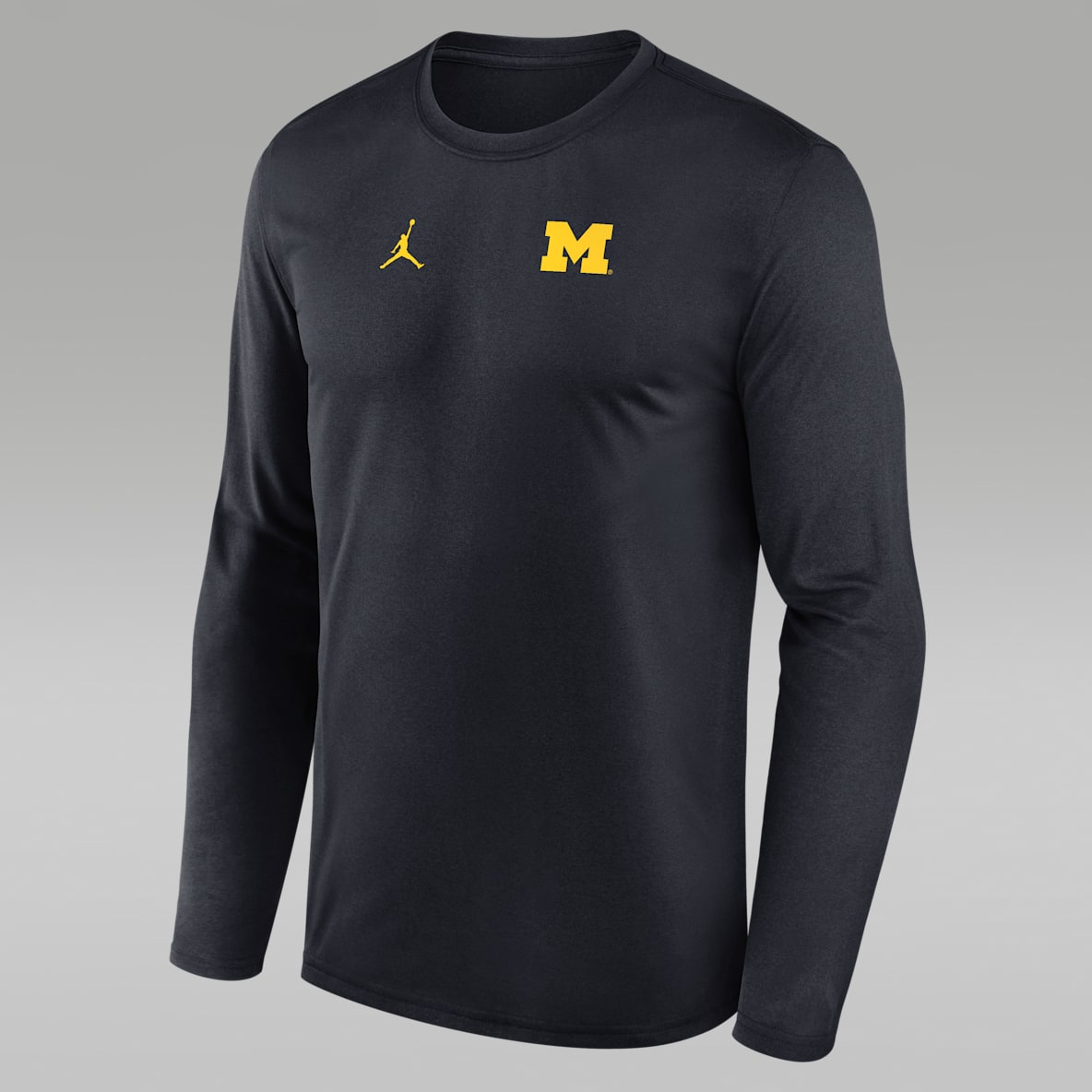 Michigan Sideline Legend Small Logo Men's Jordan Brand Dri-FIT College Long-Sleeve T-Shirt
