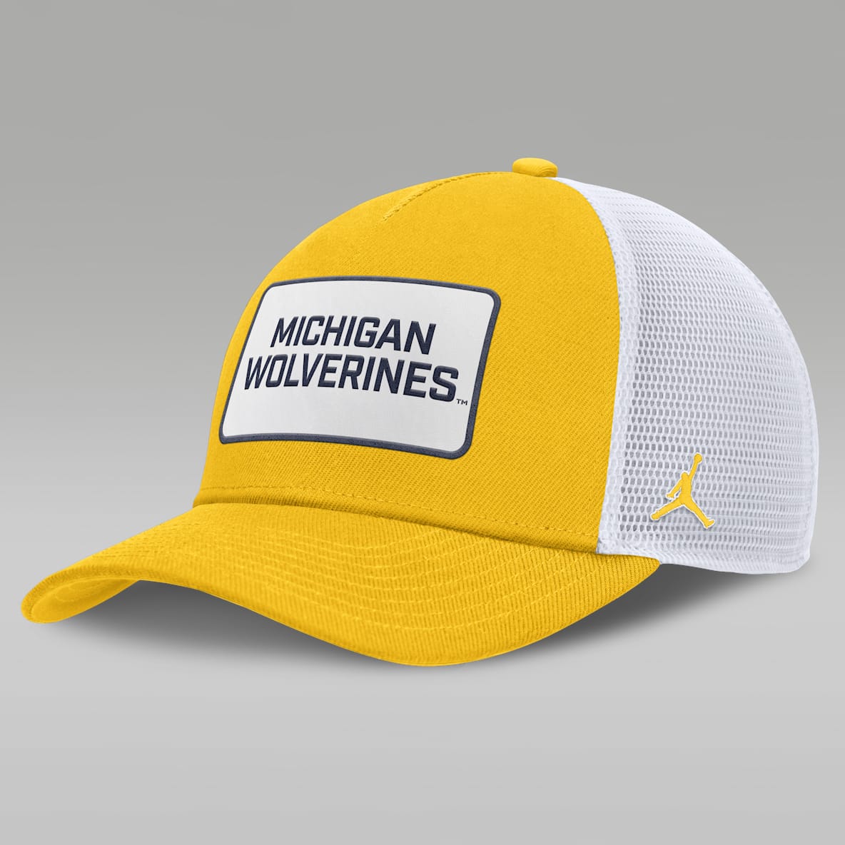 Michigan On-Field Rise Michigan On-Field Rise Men's Jordan Brand College Trucker Adjustable Hat