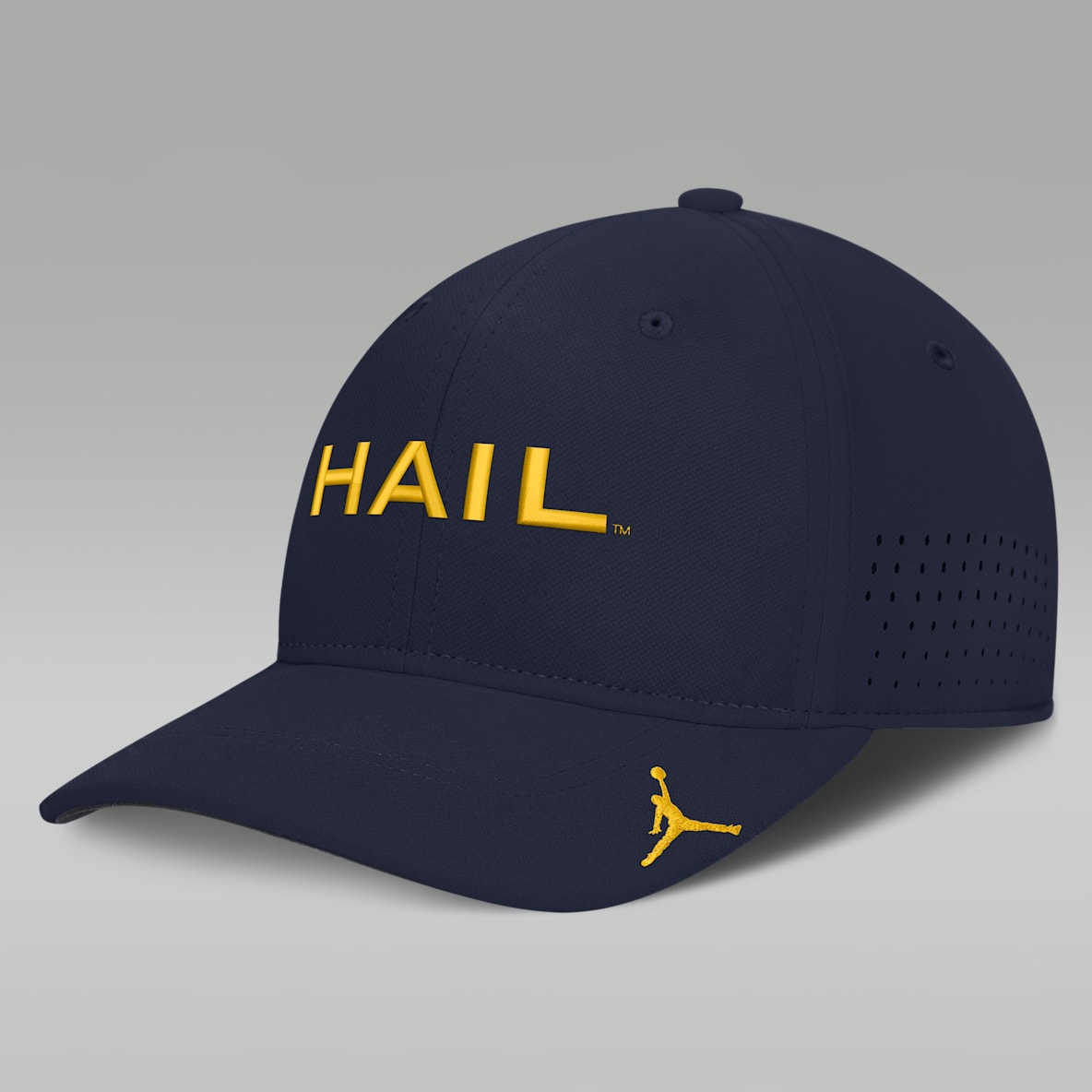 Michigan Sideline Club Gameday Men's Jordan Brand Dri-FIT College Hat