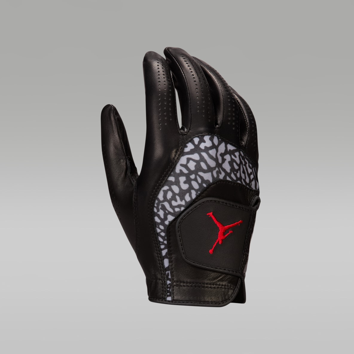 Jordan Tour Jordan Tour Regular Golf Glove (Right)