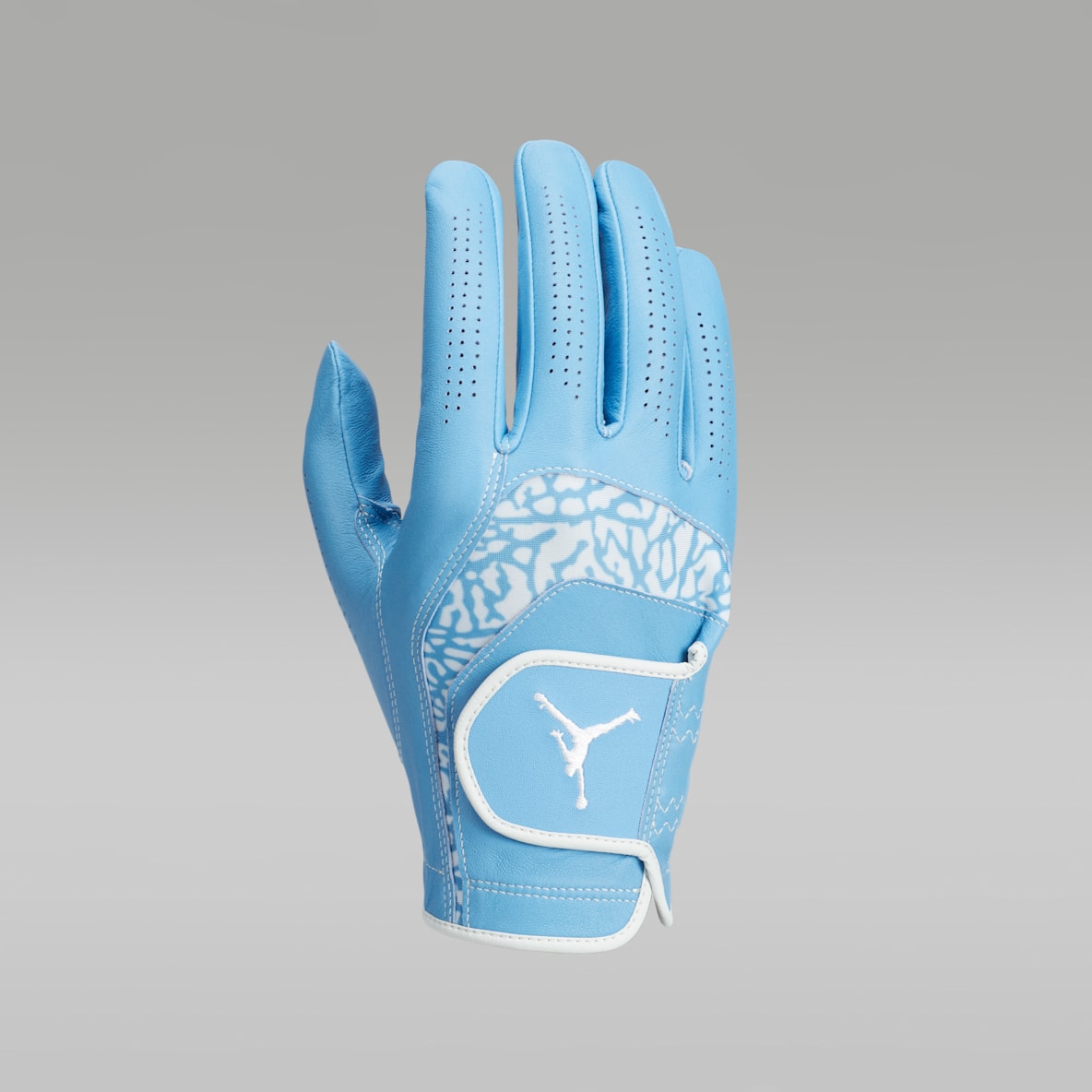Jordan Tour Jordan Tour Regular Golf Glove (Right)