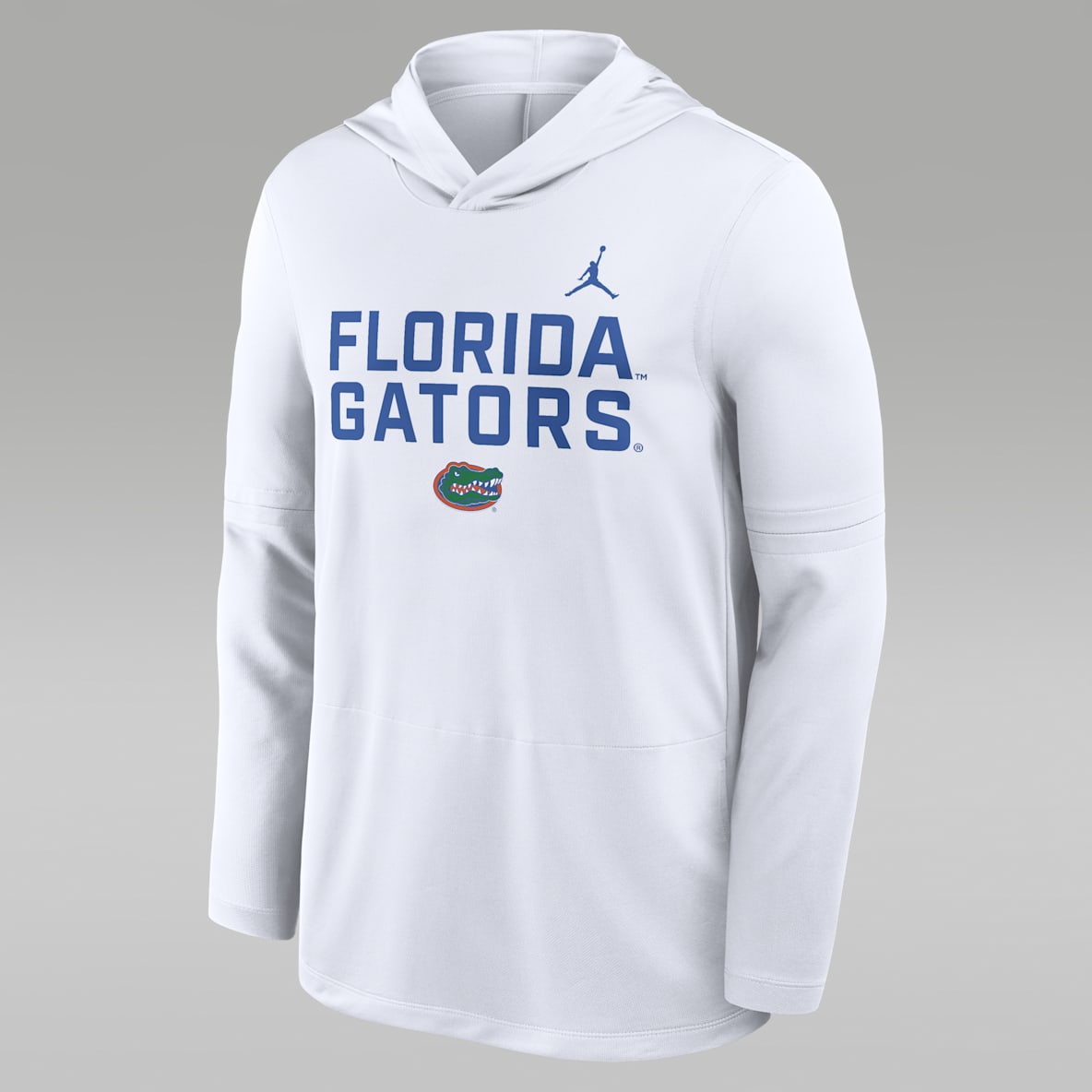 Florida Sideline Florida Sideline Men's Jordan Brand Dri-FIT College Long-Sleeve Hooded Top