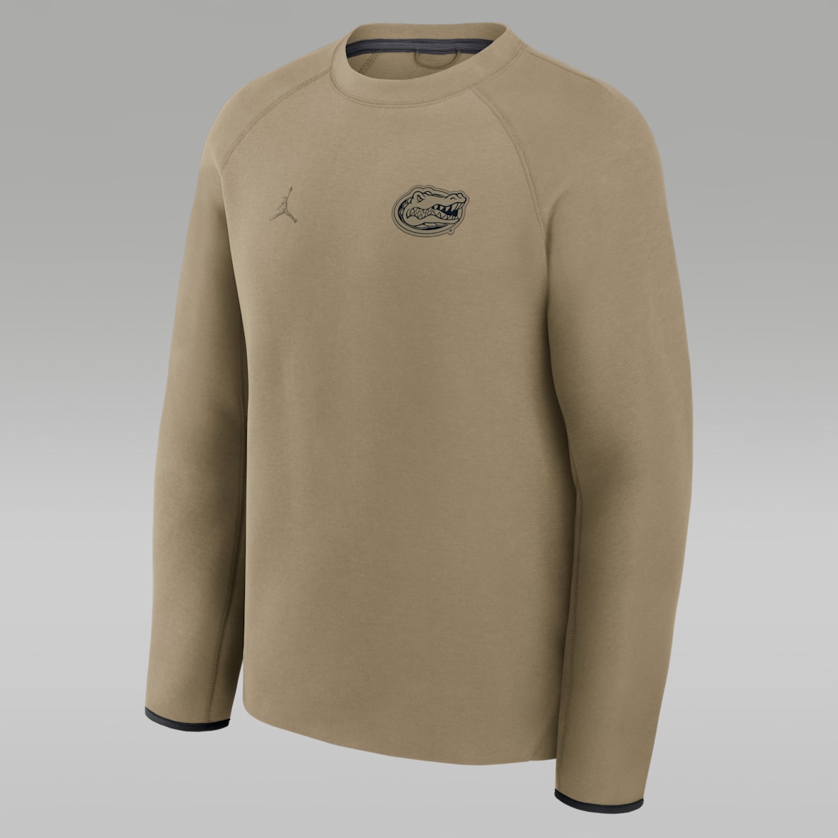 Florida Gators Tech Fleece Florida Gators Tech Fleece Men's Jordan Brand College Pullover Crew
