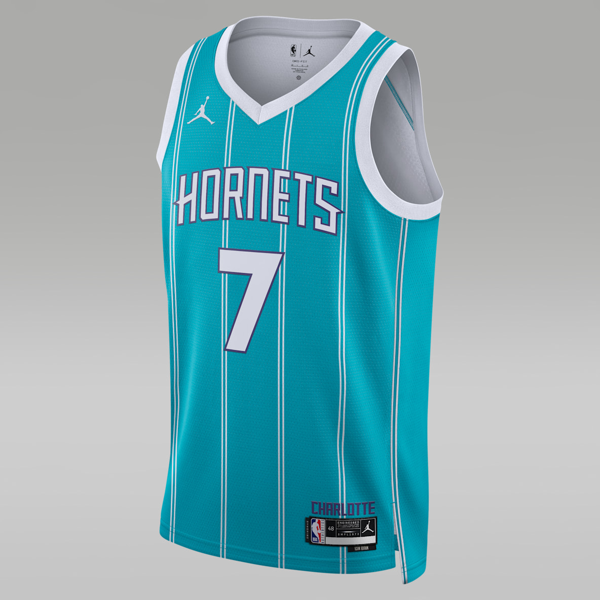 Charlotte Hornets Icon Edition Men's Jordan Dri-FIT NBA Swingman Jersey