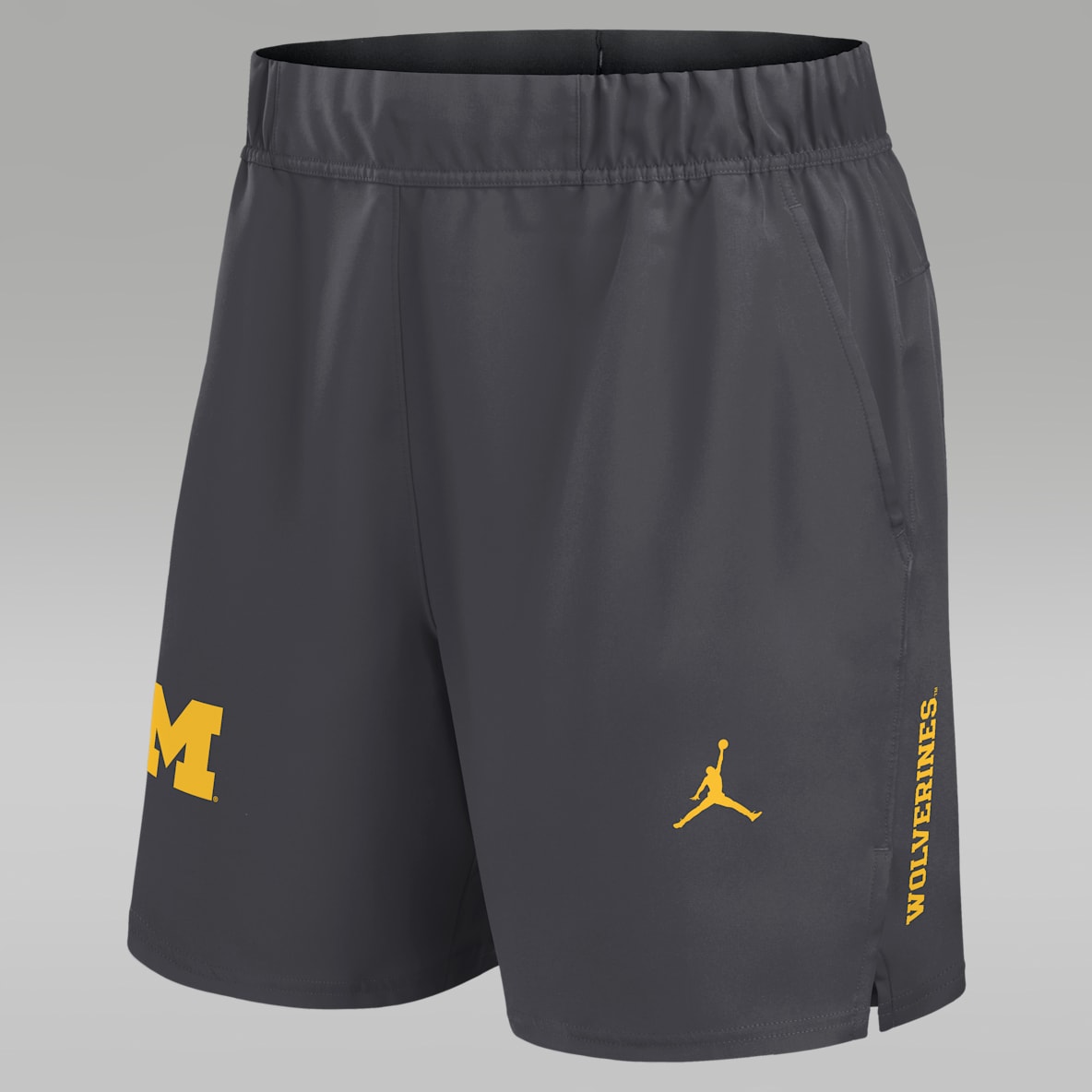 Michigan Primetime Victory Primary Logo Michigan Primetime Victory Primary Logo Men’s Jordan Brand Dri-FIT College Shorts