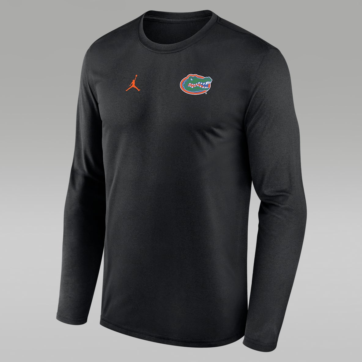 Florida Sideline Legend Small Logo Men's Jordan Brand Dri-FIT College Long-Sleeve T-Shirt