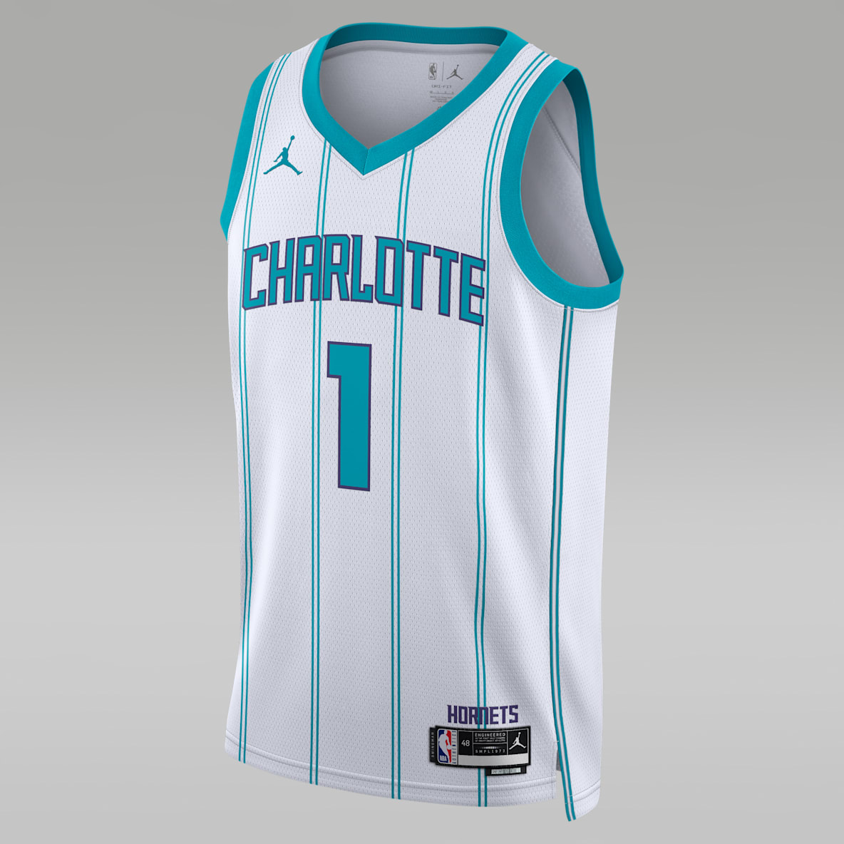 Charlotte Hornets Association Edition Charlotte Hornets Association Edition Men's Jordan Dri-FIT NBA Swingman Jersey