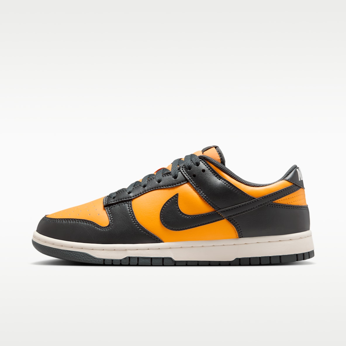 Nike Dunk Low Retro Men's Shoes
