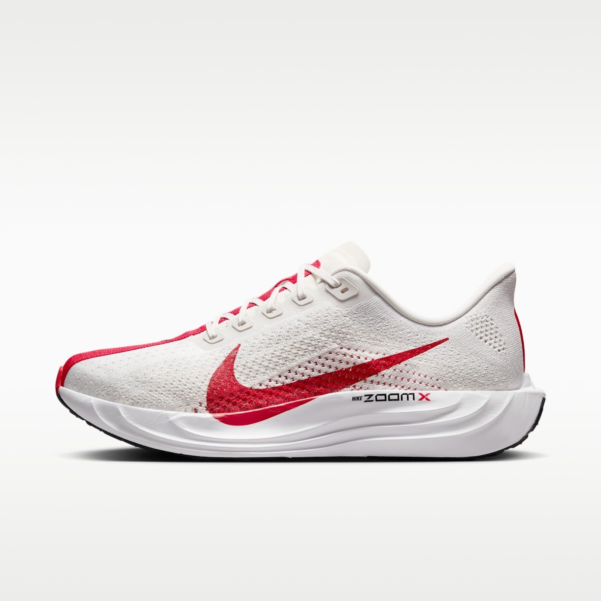Nike Pegasus Plus Men's Road Running Shoes
