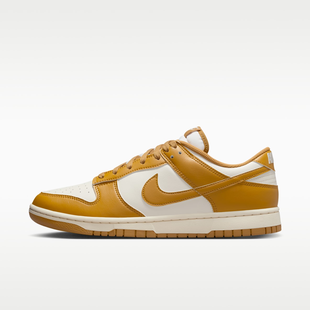 Nike Dunk Low Retro Men's Shoes