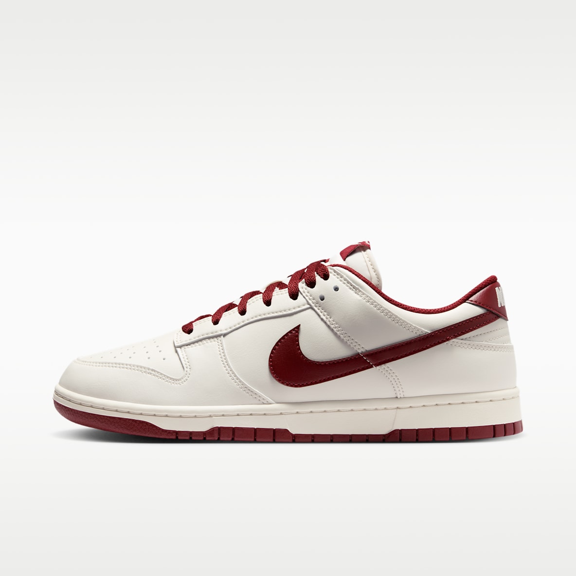 Nike Dunk Low Retro Men's Shoes