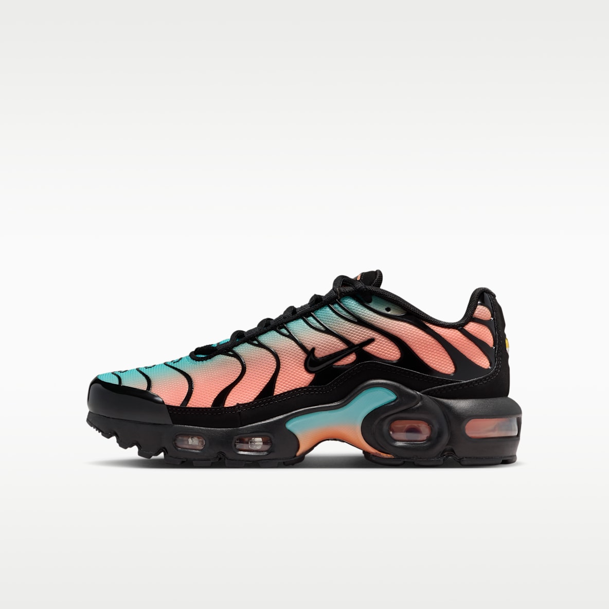 Nike Air Max Plus Big Kids' Shoes