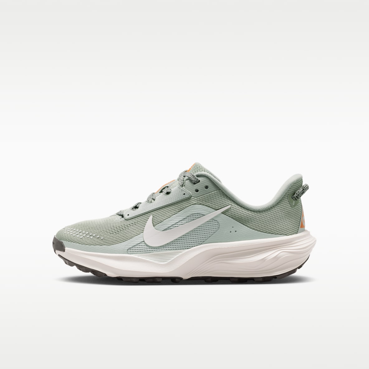 Nike ACG Pegasus Trail Big Kids' Running Shoes