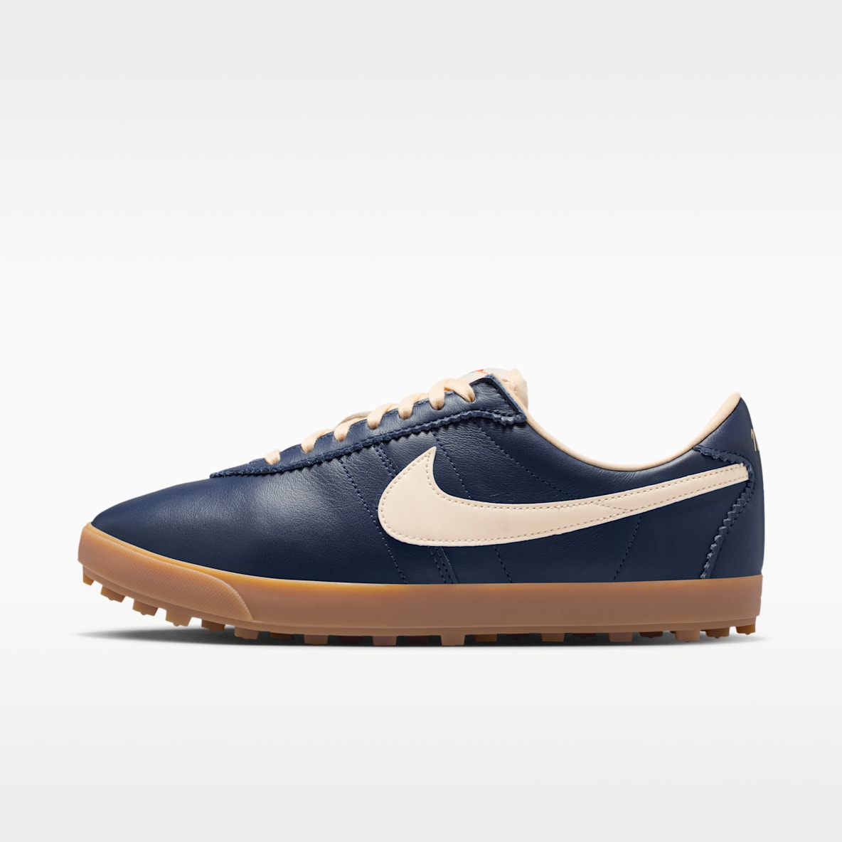 Nike Astrograbber Leather Women's shoes