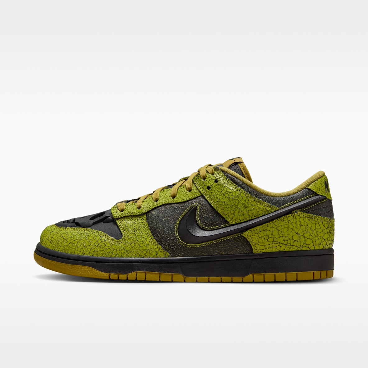 Nike Dunk Low Retro Men's Shoes