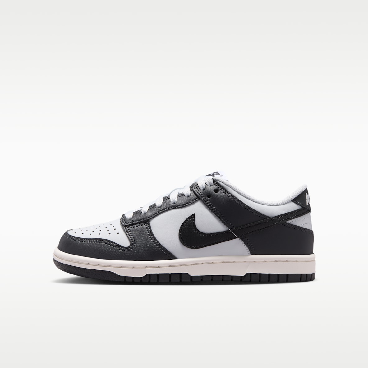 Nike Dunk Low Big Kids' Shoes