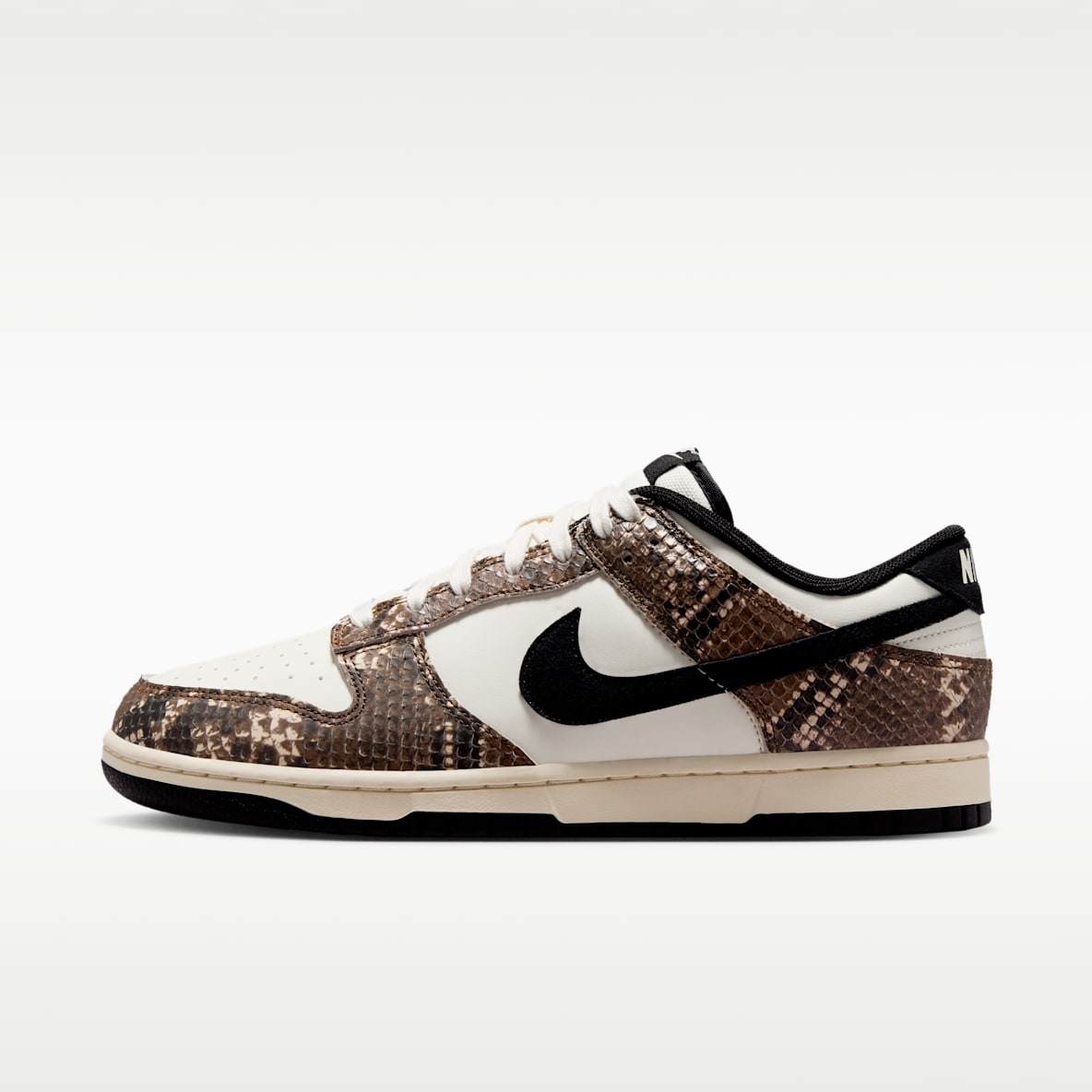Nike Dunk Low Retro Men's Shoes