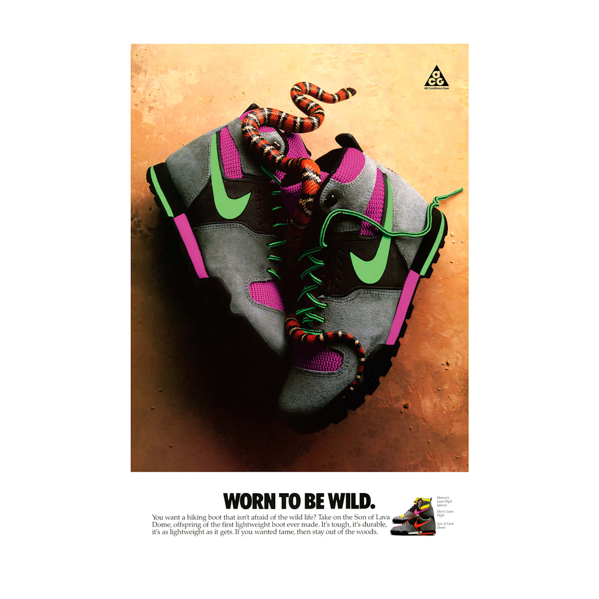 Nike DNA “Worn to be Wild” Poster 22" x 34"