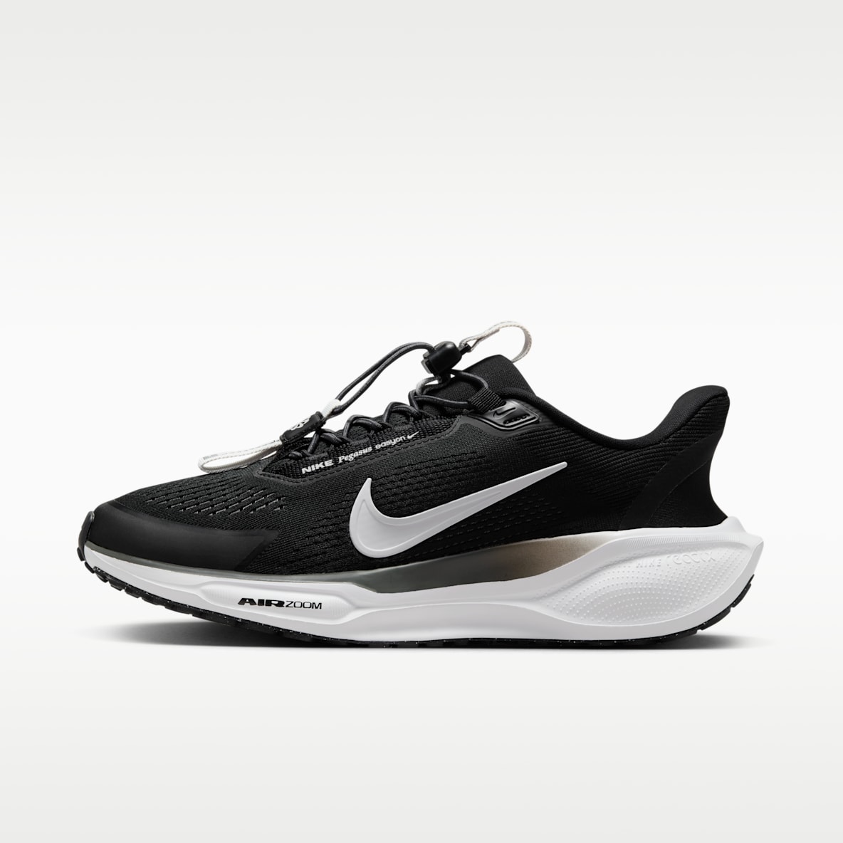 Nike Pegasus EasyOn Straßenlaufschuh (Damen)