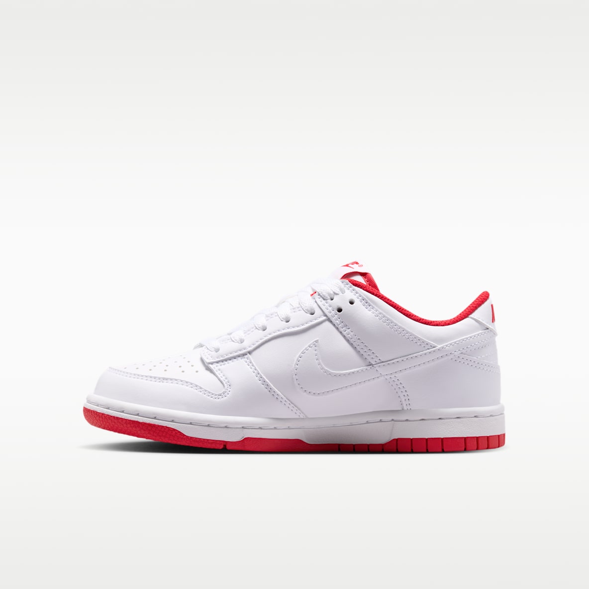 Nike Dunk Low Big Kids' Shoes