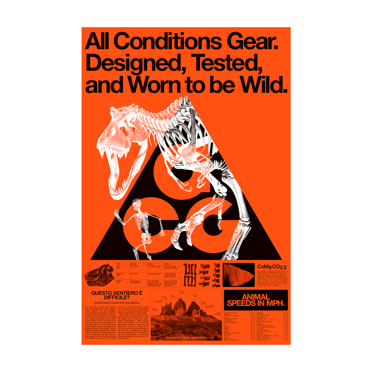 Nike ACG “Fossil” Poster 22" x 34"