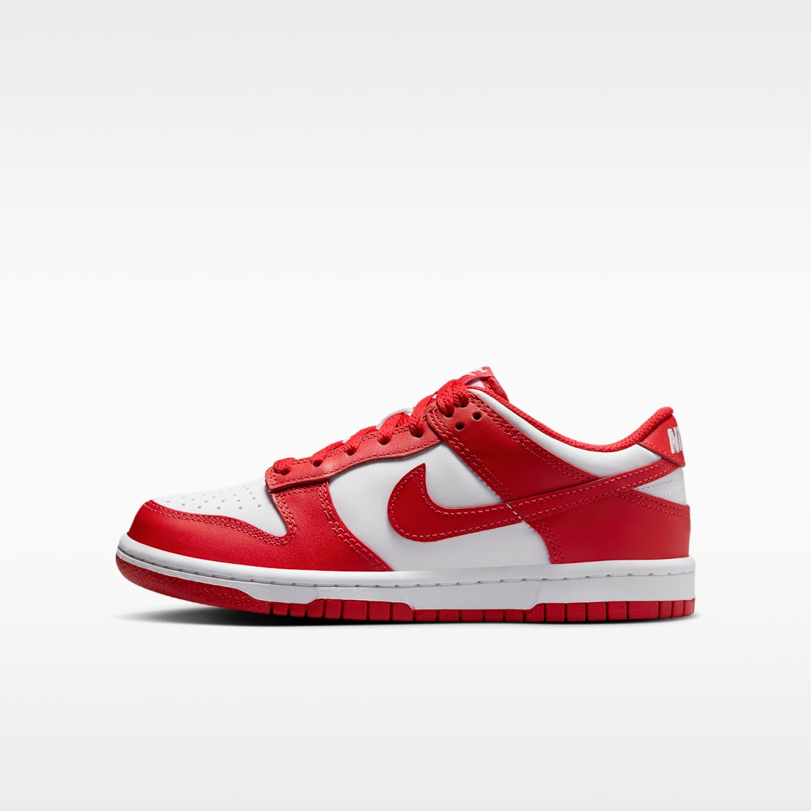 Nike Dunk Low Big Kids' Shoes
