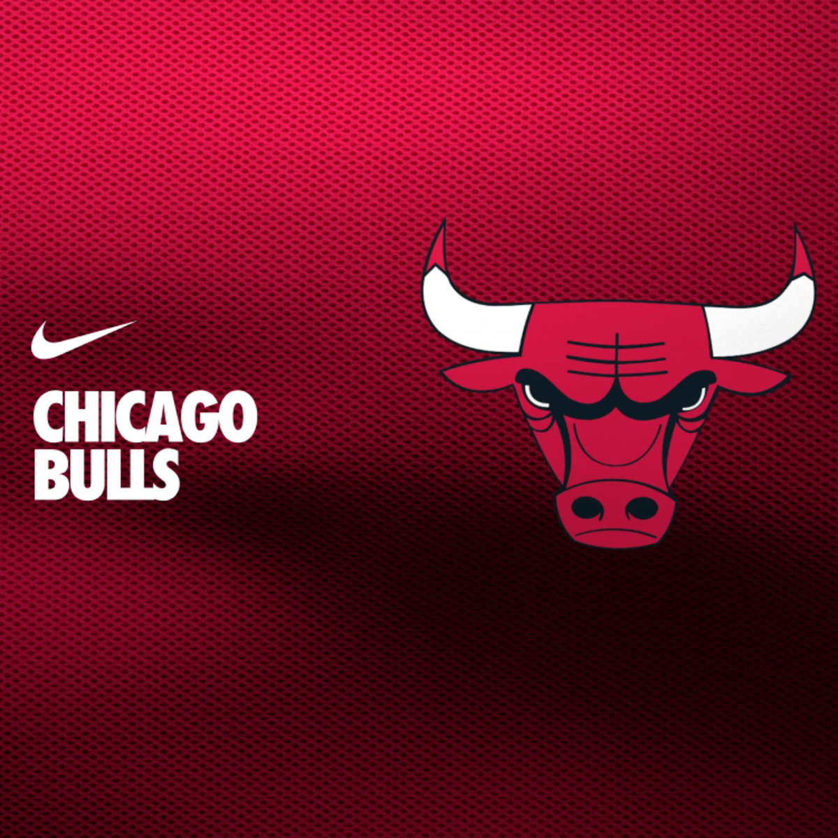 chicago bulls nike pro