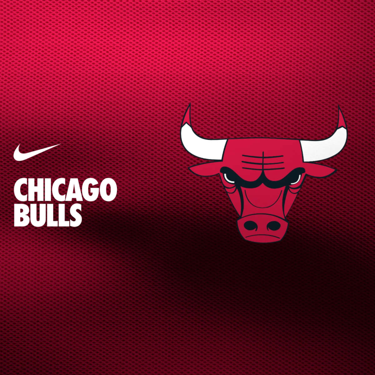 Chicago Bulls. Nike US