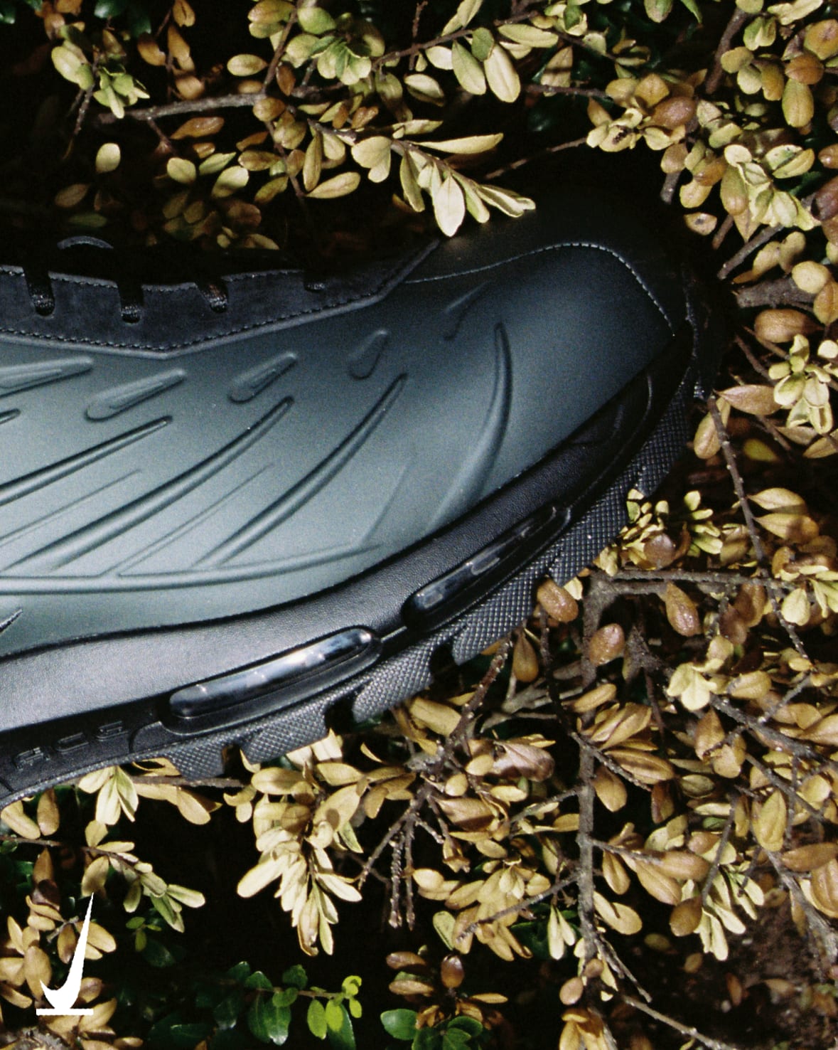 SNKRS Verified: Holiday '26 - Winter