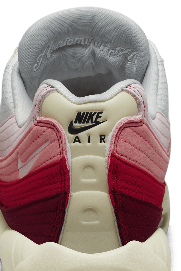 Air Max 95 'Anatomy of Air' (DM0012-600) 發售日期