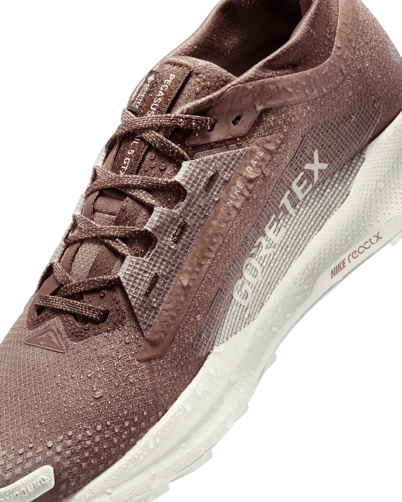 Nike Pegasus Trail 5 GORE-TEX SP Release Date