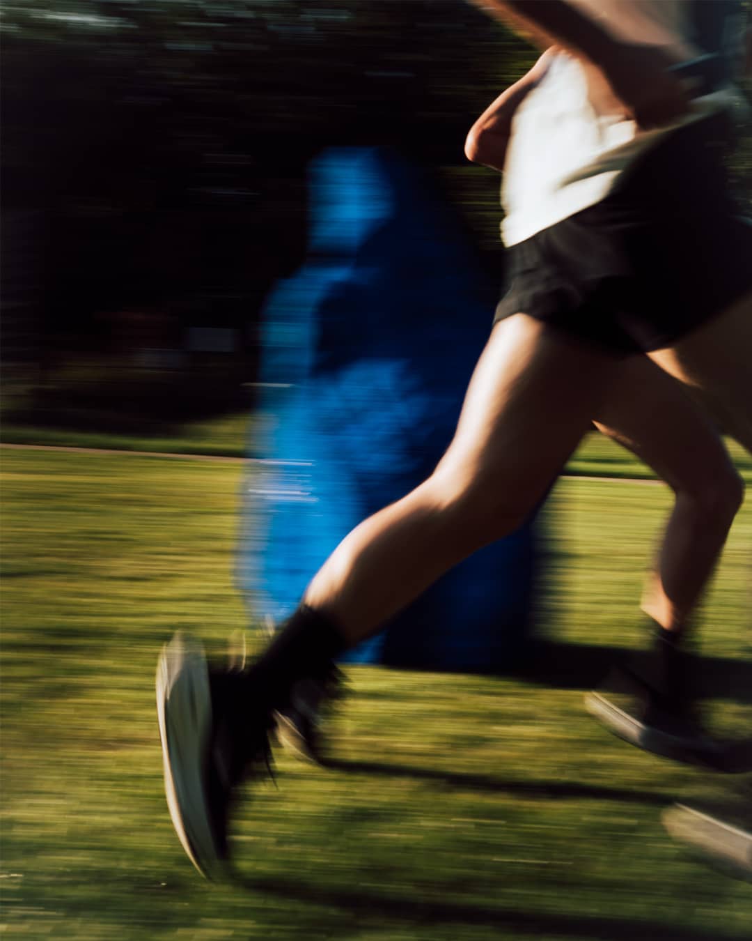 The Desire Path. Bilde: Tom Carrascosa