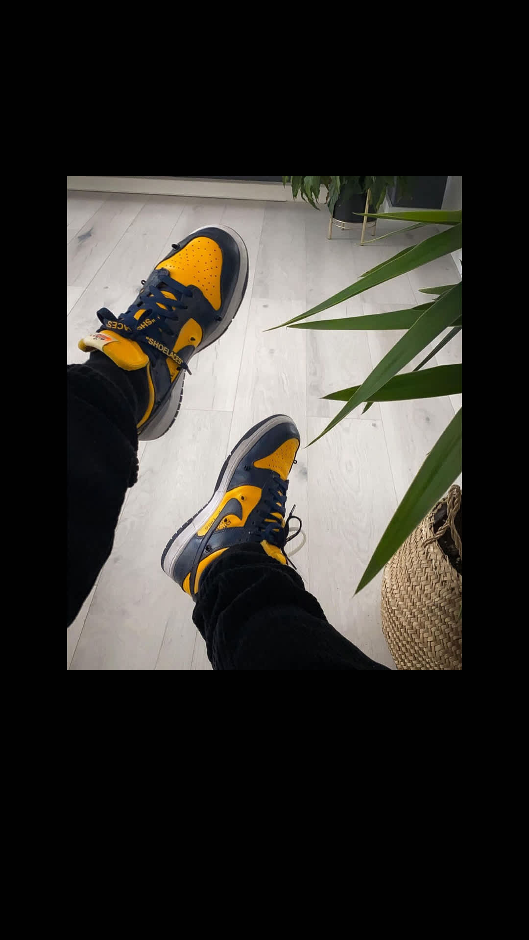 Kickcheck - 11.20