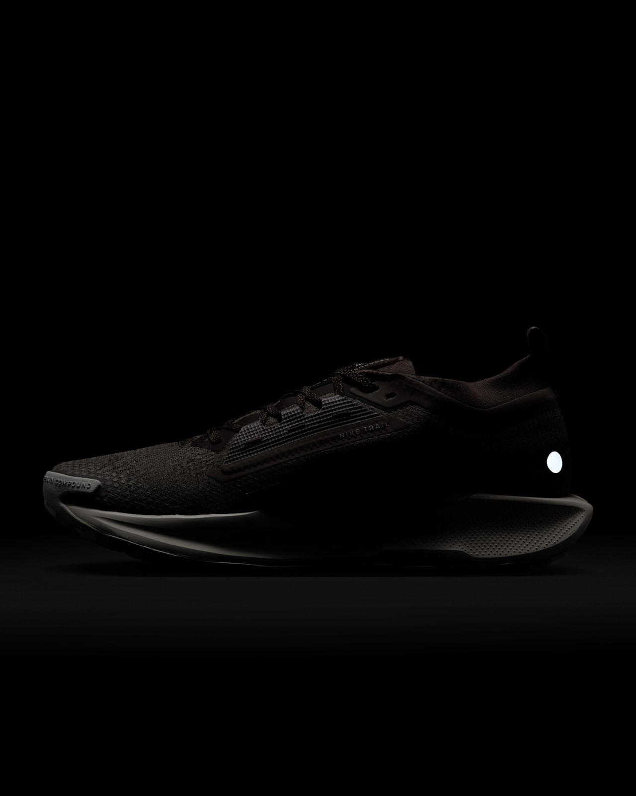 Nike Pegasus Trail 5 GORE-TEX SP Release Date