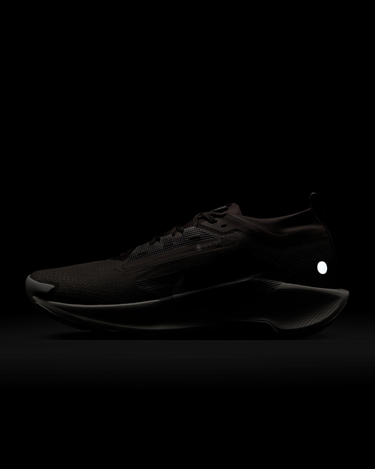 Nike Pegasus Trail 5 GORE-TEX SP Release Date