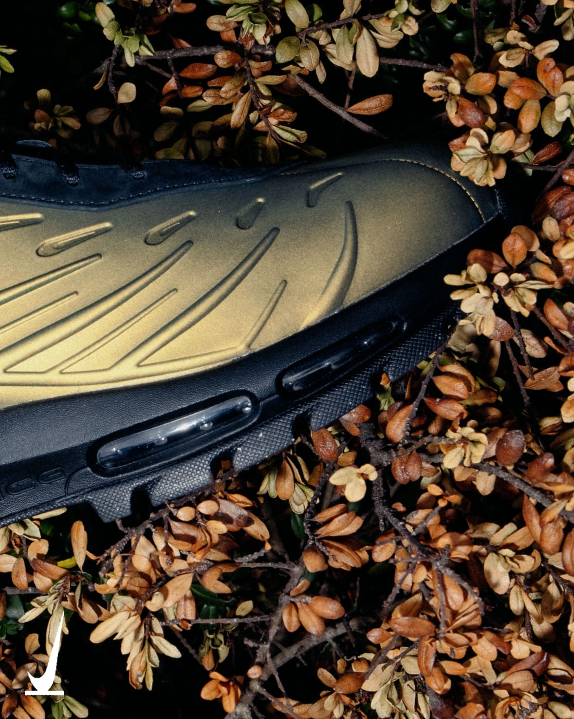 SNKRS Verified: Holiday '26 - Winter