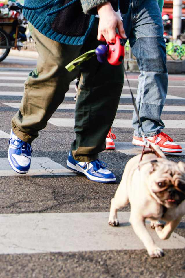 SNKRS Style: Dunk Low By Kasina
