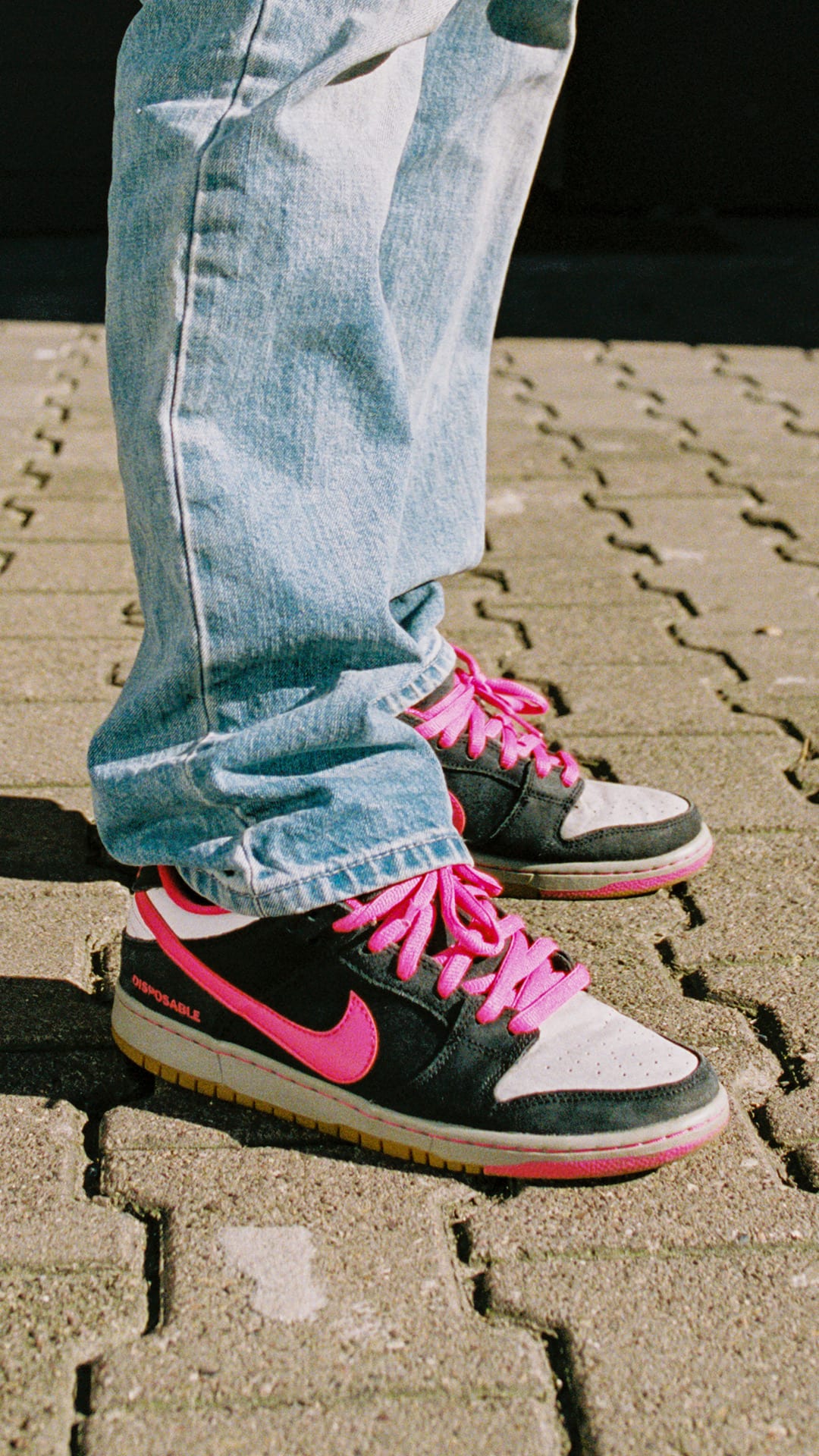 Street SNKRS : SB20th Anniversary